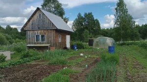 Мой огород в мае после ливней и града.