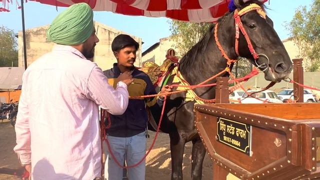 tarn taran horse mandi 2022 || ਘੋੜਿਆ ਦੀ ਮੰਡੀ ਪਿੰਡ ਸ਼ੇਰੋਂ ਤਰਨ ਤਾਰਨ ||  @shonkisardar7414 ||