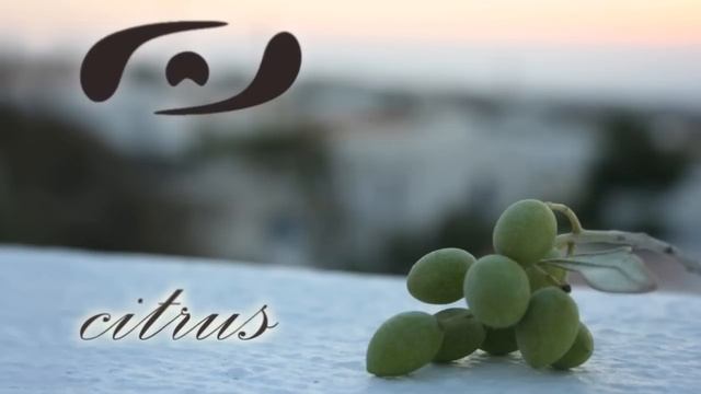 Fruits N Juice - Citrus