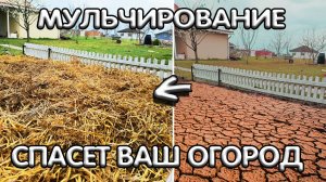 мульчирование огорода соломой весной, плюсы и минусы