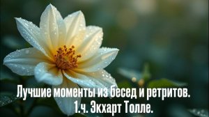 Лучшие моменты из бесед и ретритов. 1ч. Экхарт Толле.