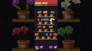 Прохождение игры #Flowertriple. Начало игры