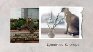 Дневник блогера 20.06.2020