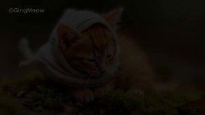 Live the Moment, Love the Now