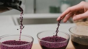 Выращивание рассады перца - Советы огородные