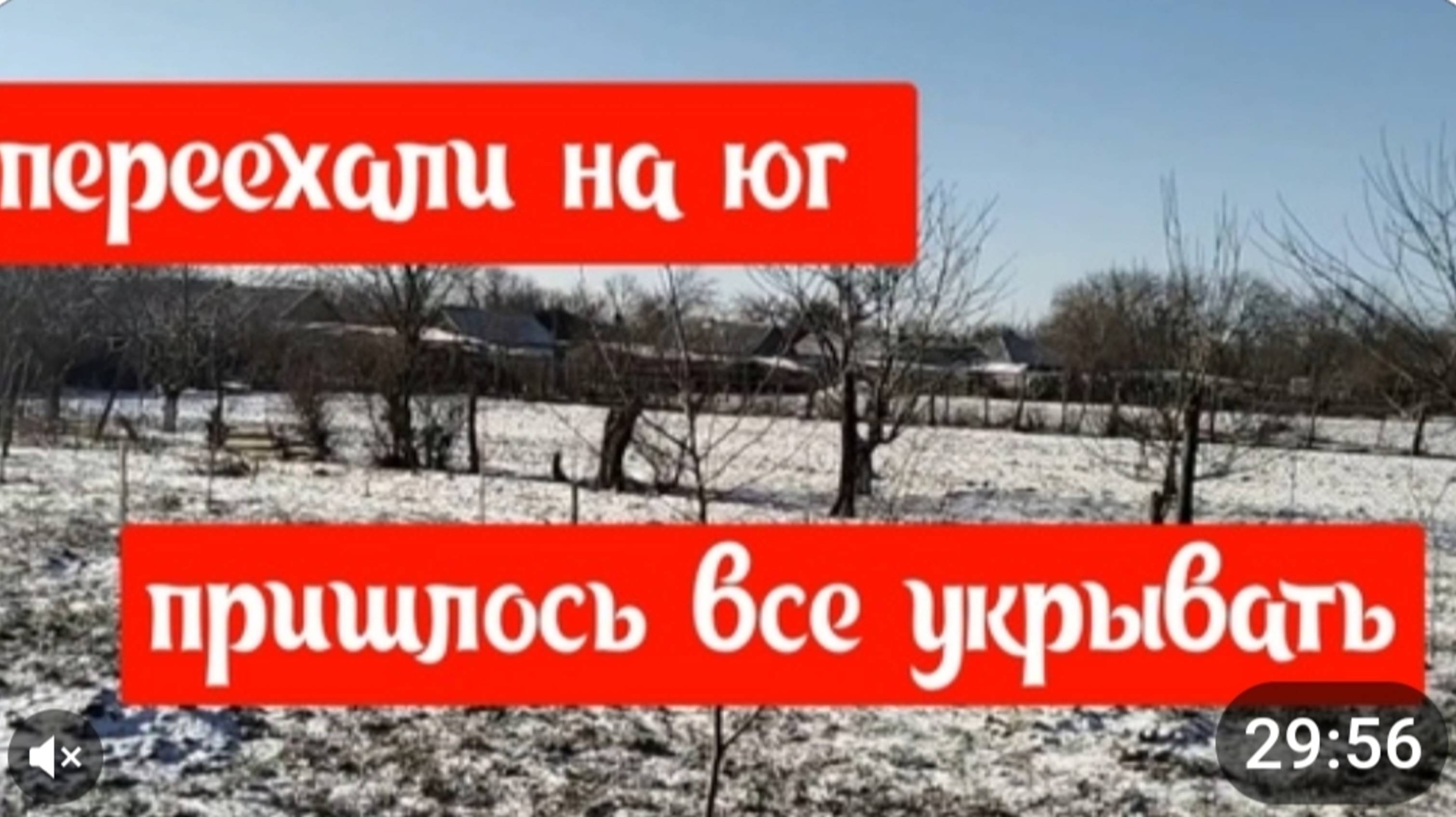 Переехали на юг/Пришлось все укрыть/А я все очищаю/Стеллаж для рассады