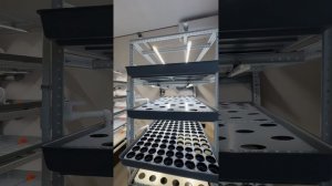 Гидропонный стеллаж для зелени, салатов, рассады, микрозелени из стеллажных стоек обзор. Daogreen.