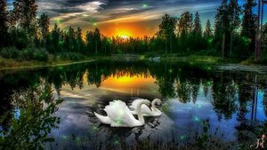 Антонина Киселёва-Васильева - Лебединая  любовь, верная ( сл.и муз.И.Скибина, аранж. С.Рыженков )