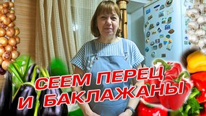 СЕЕМ ПЕРЕЦ И БАКЛАЖАНЫ  ПРО МЕЖЕВАНИЕ
