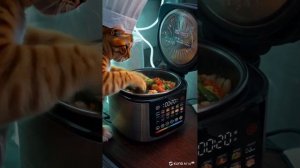 Кошка - Близнецы