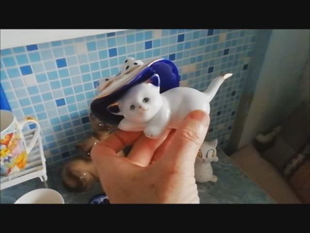 Мои любимые кошки