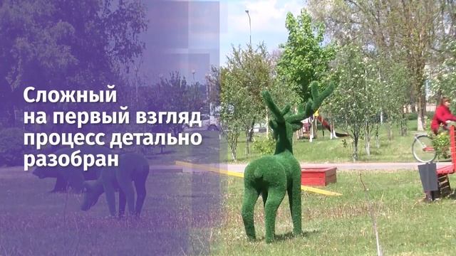 Новый сервис по созданию ТОС в микрорайонах ИЖС смотреть онлайн