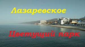 Цветущий Лазаревский парк культуры и отдыха.