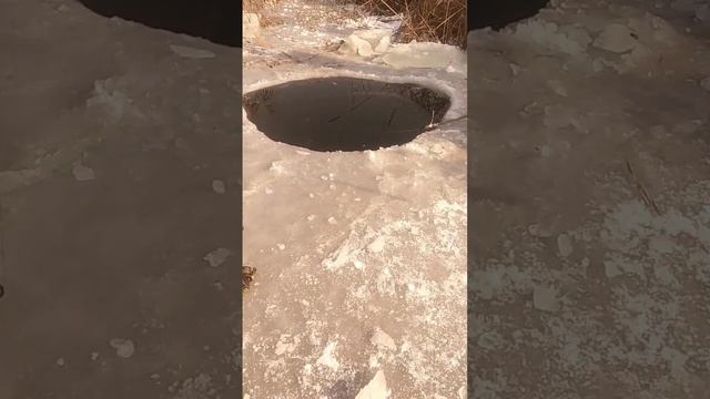 Va nihoyat ov boshlandi Amur baliq kópakan.🐟😲 смотреть онлайн