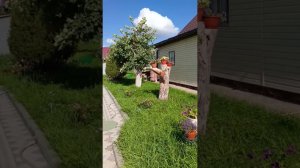 Переселения у птички. Косим траву. Дела по хозяйству.