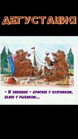 Весёлые картинки