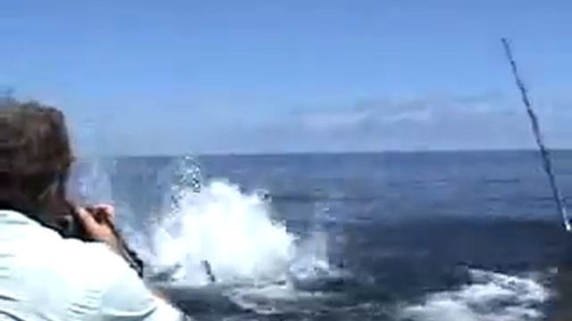 Attack Marlin смотреть онлайн