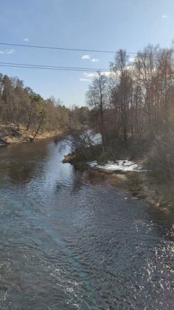 Обстановка на Чёрной речке