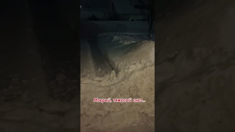 И снова снег❄️ Сегодня мокрый, тяжёлый. Чтоб не расслаблялись. #зима