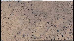 Они не знают куда девать покрышки. Новые круги смерти и погибшие деревья. Юг Африки