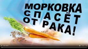 Морковь против рака  - Макс Погорелый