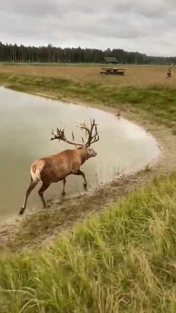 6 октября 2022 г. смотреть онлайн