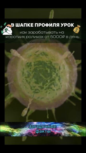 Кольская скважина