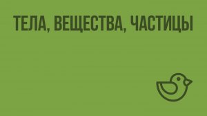 Тела, вещества, частицы. Видеоурок по окружающему миру 3  класс