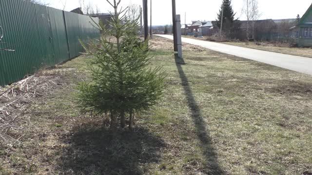 Я на даче 03.04.2025