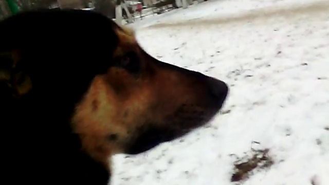 Меня бросил Гарик Харламов 😥😖смотреть всем смотреть онлайн