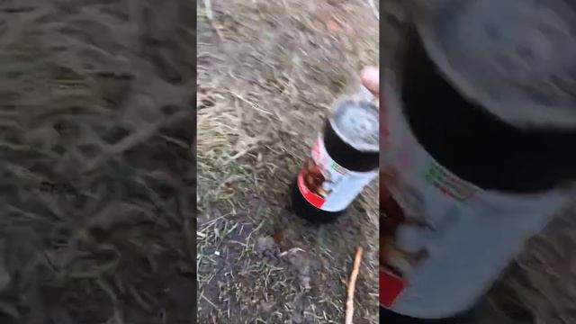 Ментос и кола