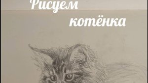 Рисуем котёнка