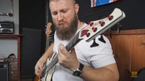 Pantera - New Level (bass guitar cover from Babay)