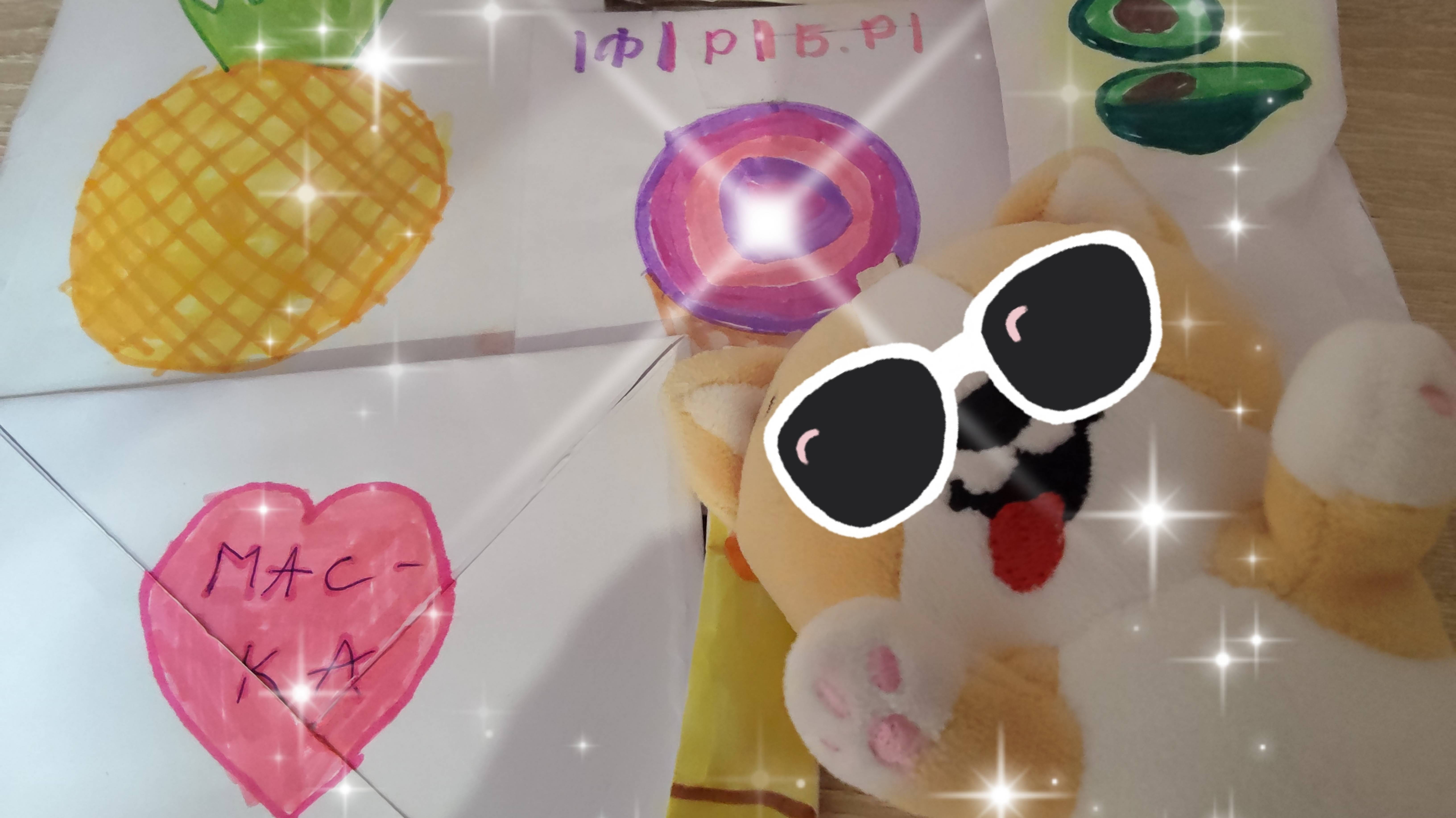 Бокс с корги КИТИК смотреть онлайн