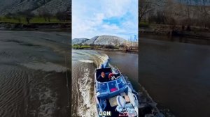 Френк на Дону 🐾🚤🐾