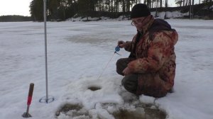 Рыбалка в Карелии! Окунь и щука!