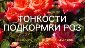 Розы. Секреты подкормки роз в течении всего сезона. Результат не заставит ждать….Часть 1.