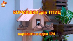 Кормушка для птиц своими руками как сделать пошагово (174) 🪚🪛🔨 Идеи для дачи и сада❣️