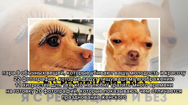 13 комиксов о влюбленной парочке, которая на своем примере доказала, что отпуск — это то еще весель смотреть онлайн