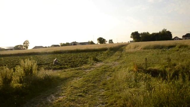 Poland Польша прикол смотреть онлайн