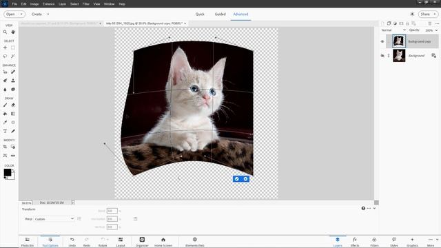 Photoshop Elements 2024 - SHOULD You UPGRADE? [and from which version] смотреть онлайн