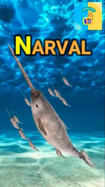 Abecedário ABC APRENDENDO O ABCD Vídeo para bebê #shorts #alfabetoinfantil #satisfying смотреть онлайн