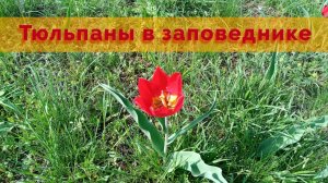 Поездка в заповедник.