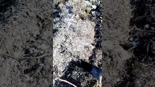 мульчирование против вымерзания смотреть онлайн