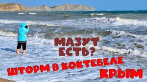 Состояние пляжей в Коктебеле в шторм: актуальные прогнозы на туристический сезон 2025