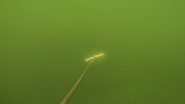 Тест эхолота практик 8 летом на лодке. смотреть онлайн