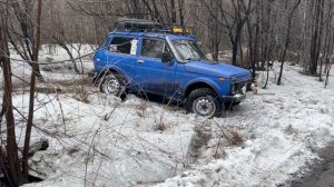 Весна в лесу на нивах