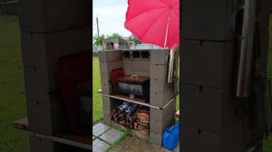 Сад после грозы. Экспериментальная инкубация. И о разном понемногу)