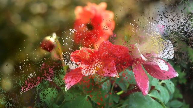 Маски Цветы смотреть онлайн