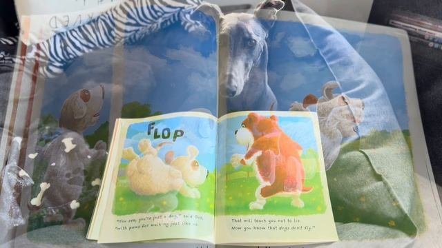 SOME DOGS DO Children’s Story Read Aloud With School Dog Fairy